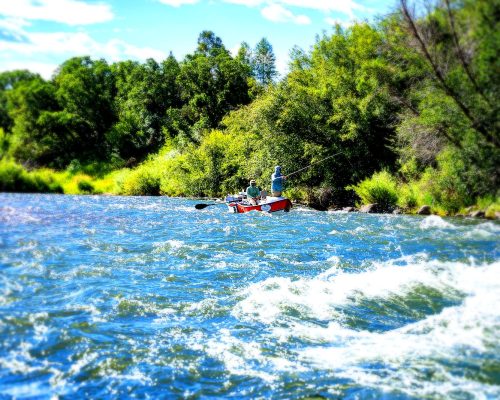 Guided fly fishing trip on the Frying Pan River with Colorado fly fishing guides in clear flowing water
