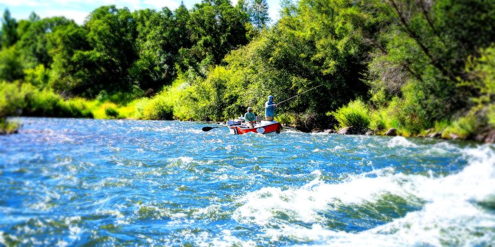 Guided fly fishing trip on the Frying Pan River with Colorado fly fishing guides in clear flowing water
